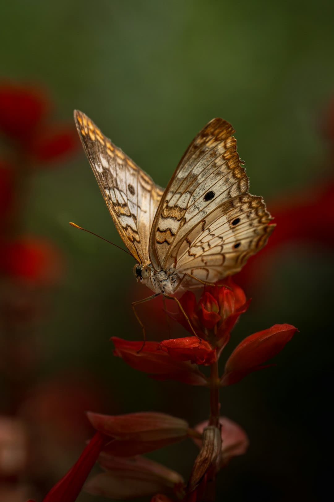 http://n.sinaimg.cn/news/transform/w600h400/20180310/GGAB-fxpwyhw5877713.jpg?zdy